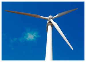 Wind Turbine Poppy