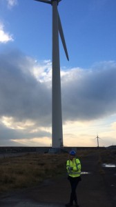 giulia turbine